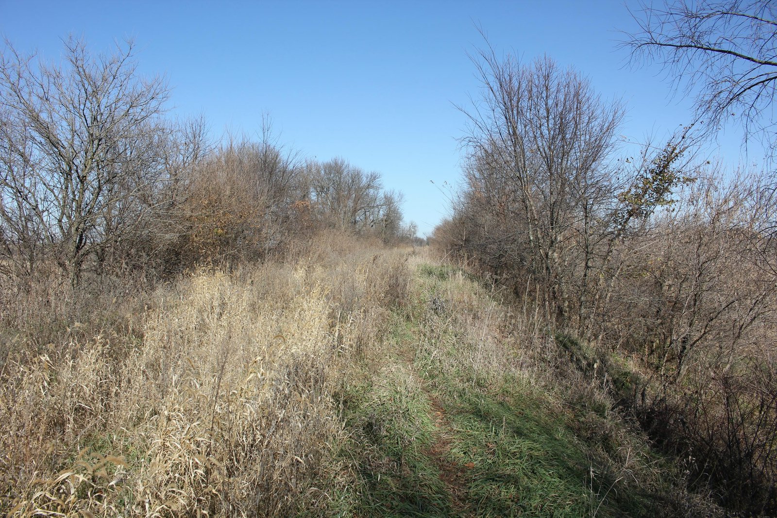 Looking north